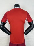 2026 Switzerland Home Player Version Soccer Jersey