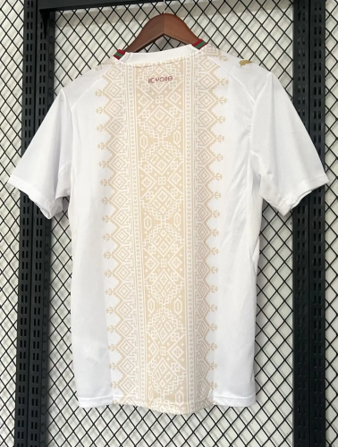 2026 World Cup Morocco Away Fans Soccer Jersey(With 2 Star)*两颗星