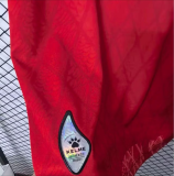 26-27 Espanyol Away Fans Soccer Jersey