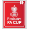 FA CUP (英足总杯2次) FA CUP (英足总杯2次)