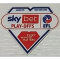 EFL Championship (25英冠章)
