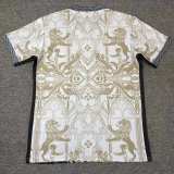 26-27 England Khaki Special Edition Training shirts (狮)