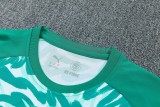 26-27 Portugal High Quality Training Short Suit