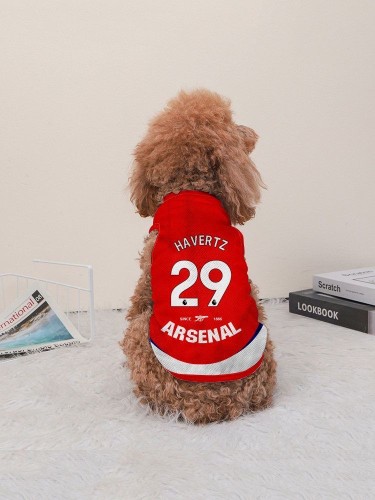 2026 ARS Pet Hot Pressing Soccer Jersey (背心)