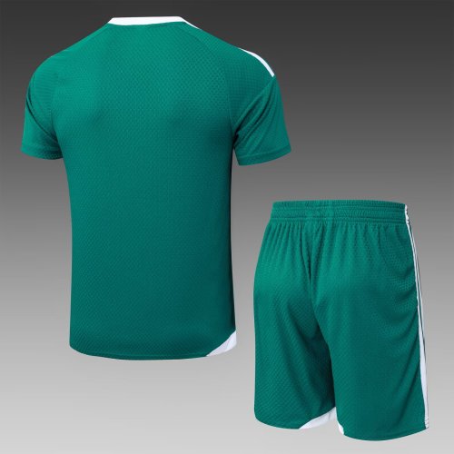 2025 AD Player Version Training Short Suit —Green 绿色