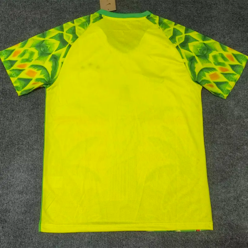 25-26 Brazil Yellow Green Special Edition Training shirts 1:1 Thai Quality