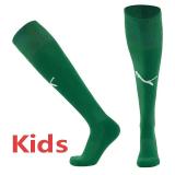 25-26 Dortmund Green Kids Socks(儿童)