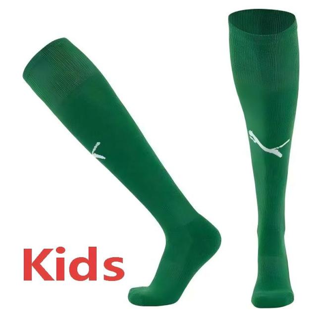 25-26 Dortmund Green Kids Socks(儿童)