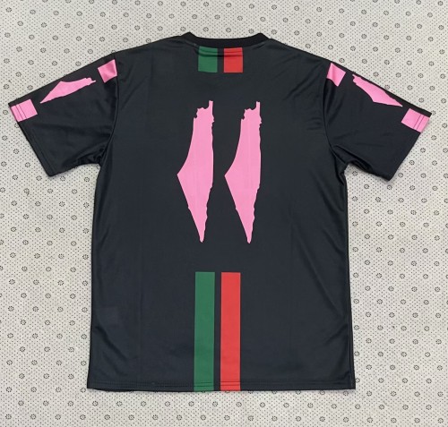 25-26 Palestine Special Edition Fans Soccer Jersey