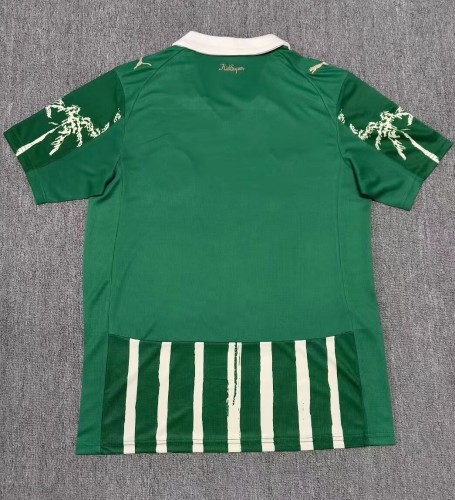 25-26 Palmeiras Special Edition Fans Soccer Jersey