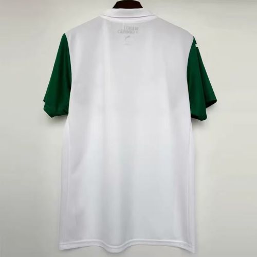 25-26 Palmeiras Away Fans Soccer Jersey