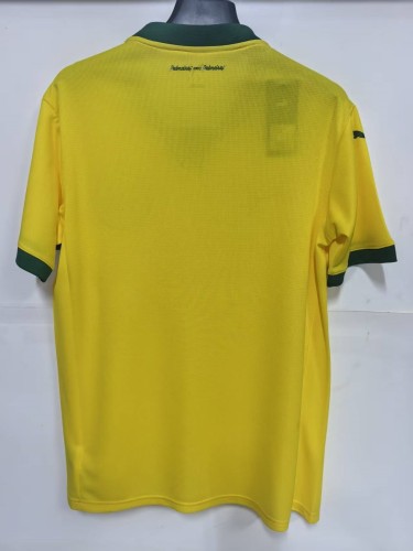 25-26 Palmeiras Third Fans Soccer Jersey*空白版