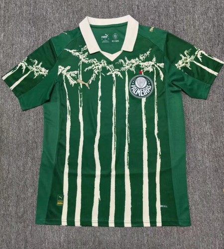 25-26 Palmeiras Special Edition Fans Soccer Jersey
