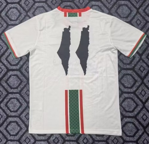 25-26 Palestine Special Edition Fans Soccer Jersey