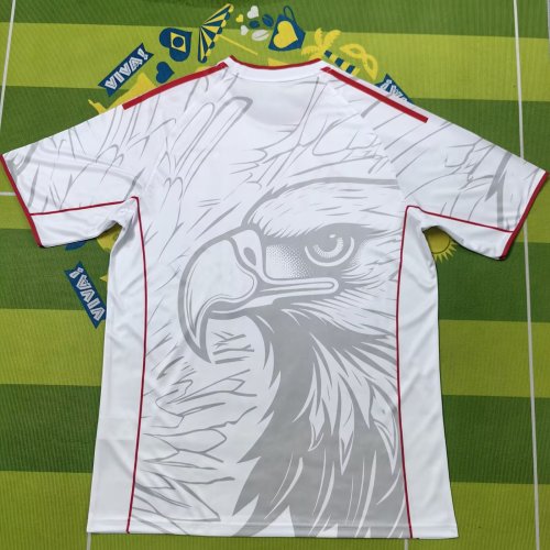 25-26 Benfica Special Edition White Training shirts