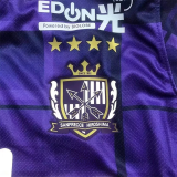 25-26 Sanfrecce Hiroshima Home Fans Soccer Jersey