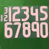 25-26 Algeria Black Player Version Training shirts (粉标)