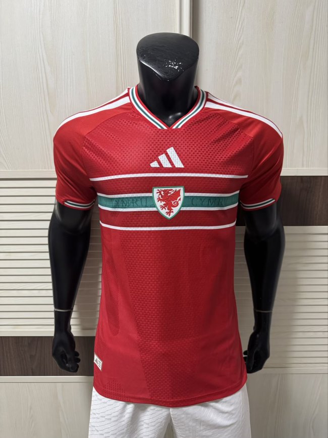 2026 Wales Home Player Version Soccer Jersey