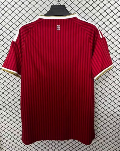 25-26 Bayern Special Edition Fans Soccer Jersey