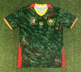 25-26 Cameroon Home Fans Soccer Jersey