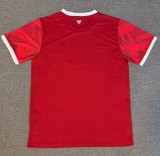 25-26 Arminia Bielefeld Third Fans Soccer Jersey