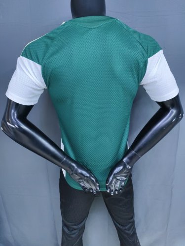 25-26 Italy Green Player Version Training shirts