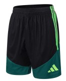 2026 AD Green High Quality Player Version Training Short Suit (球员套装)