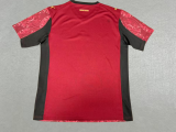 25-26 Galatasaray Third Fans Soccer Jersey (五星)