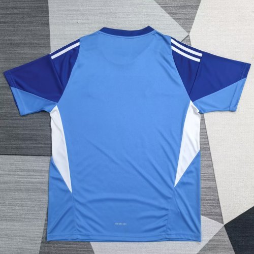25-26 JUV Blue Goalkeeper Fans Soccer Jersey