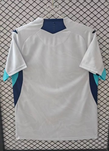 25-26 Hoffenheim Third Fans Soccer Jersey