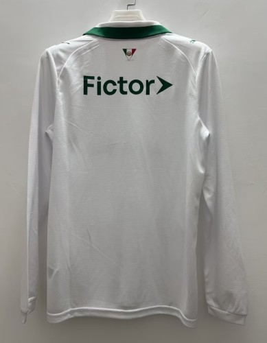 2026 Palmeiras Away Long Sleeve Fans Soccer Jersey (长袖)
