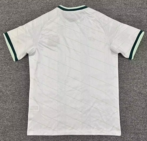 2026 Northern Ireland Away Fans Soccer Jersey