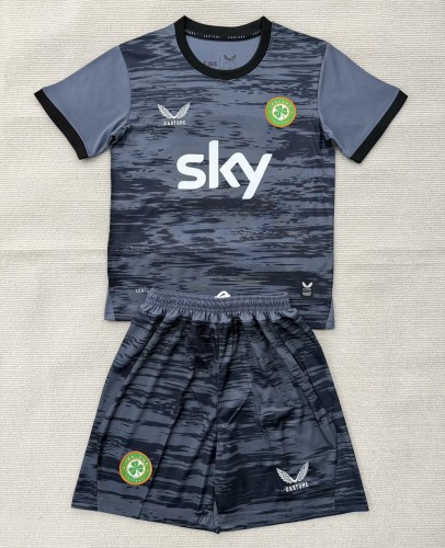 2026 Ireland Grey GoalKeeper Adult Suit