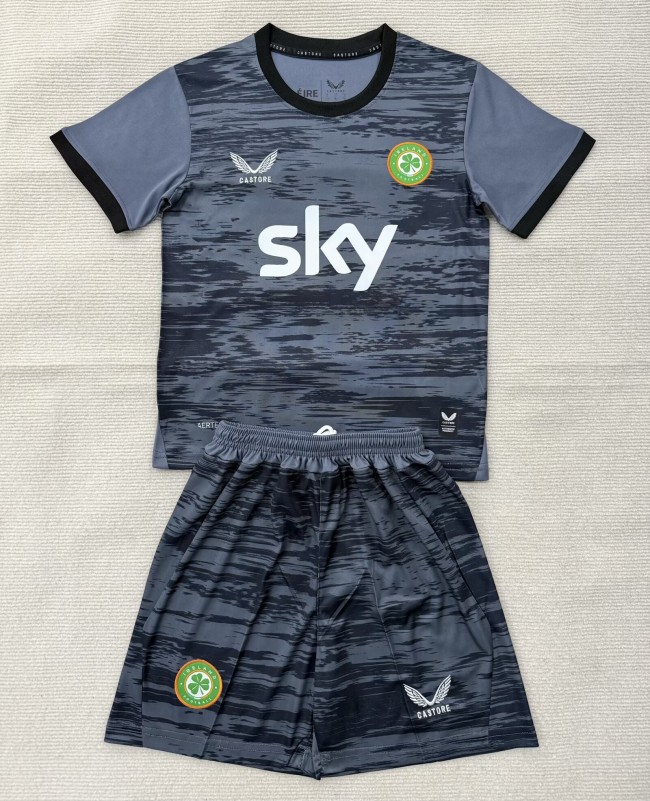 2026 Ireland Grey GoalKeeper Adult Suit