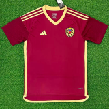 24-25 Venezuela Home Fans Soccer Jersey