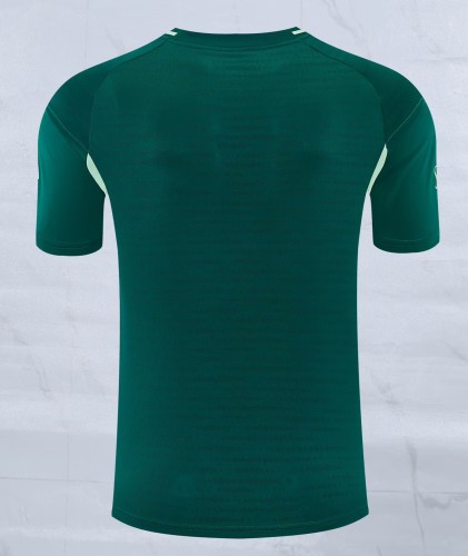26-27 ARS Green Player Version Training shirts