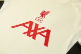 26-27 LIV Beige Player Version Training shirts