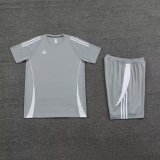 2024 AD Gray Training Short Suit