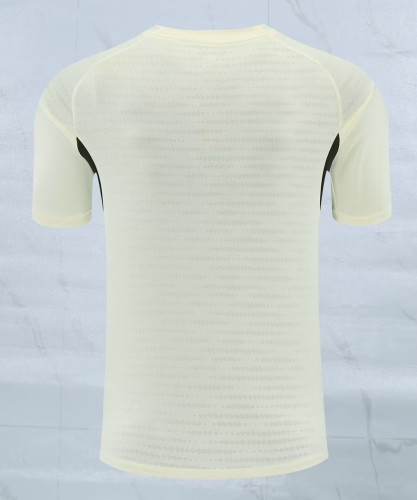 26-27 LIV Beige Player Version Training shirts