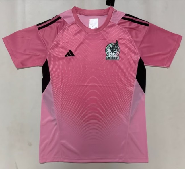 2026 Mexico Pink Goalkeeper Fans Soccer Jersey