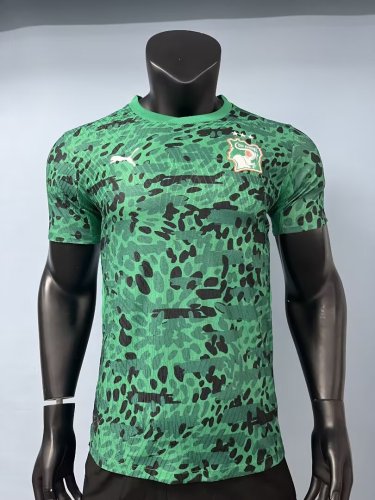 26-27 Cote d'Ivoire Green Special Edition Player Version Soccer Jersey