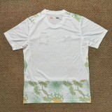 2026 Cote d'Ivoire Away Fans Soccer Jersey