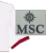 MSC (左袖广告)