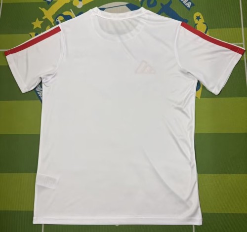 26-27 Benfica White Training shirts