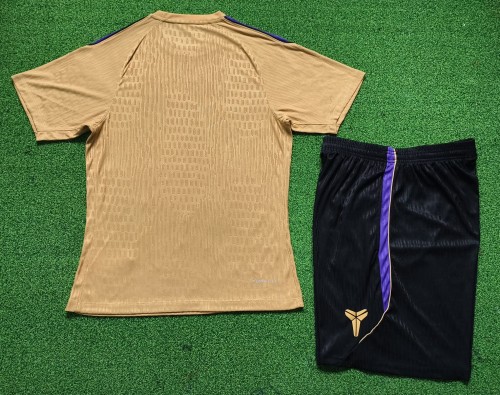 26-27 BAR High Quality Player Version Training Short Suit  (球员套装)