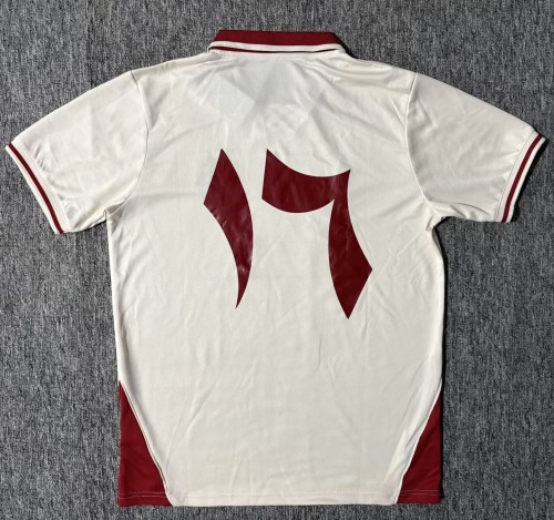 25-26 Palestine Special Edition Fans Soccer Jersey