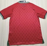24-25 Palestine Special Edition Fans Soccer Jersey