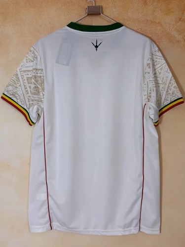 26-27 Mali Home Fans Soccer Jersey