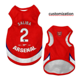 2026 ARS Pet Hot Pressing Soccer Jersey (背心)