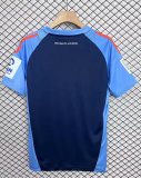 25-26 Hamburger Royal Blue Special Edition Fans Soccer Jersey